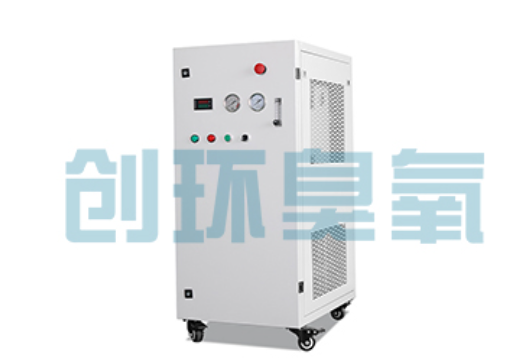 唐县石斑鱼养殖水质调控完整指南：臭氧发生器配置与操作步骤
