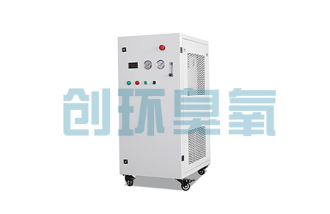 唐县比传统换水更高效？臭氧发生器在石斑鱼养殖中的水质净化原理解析